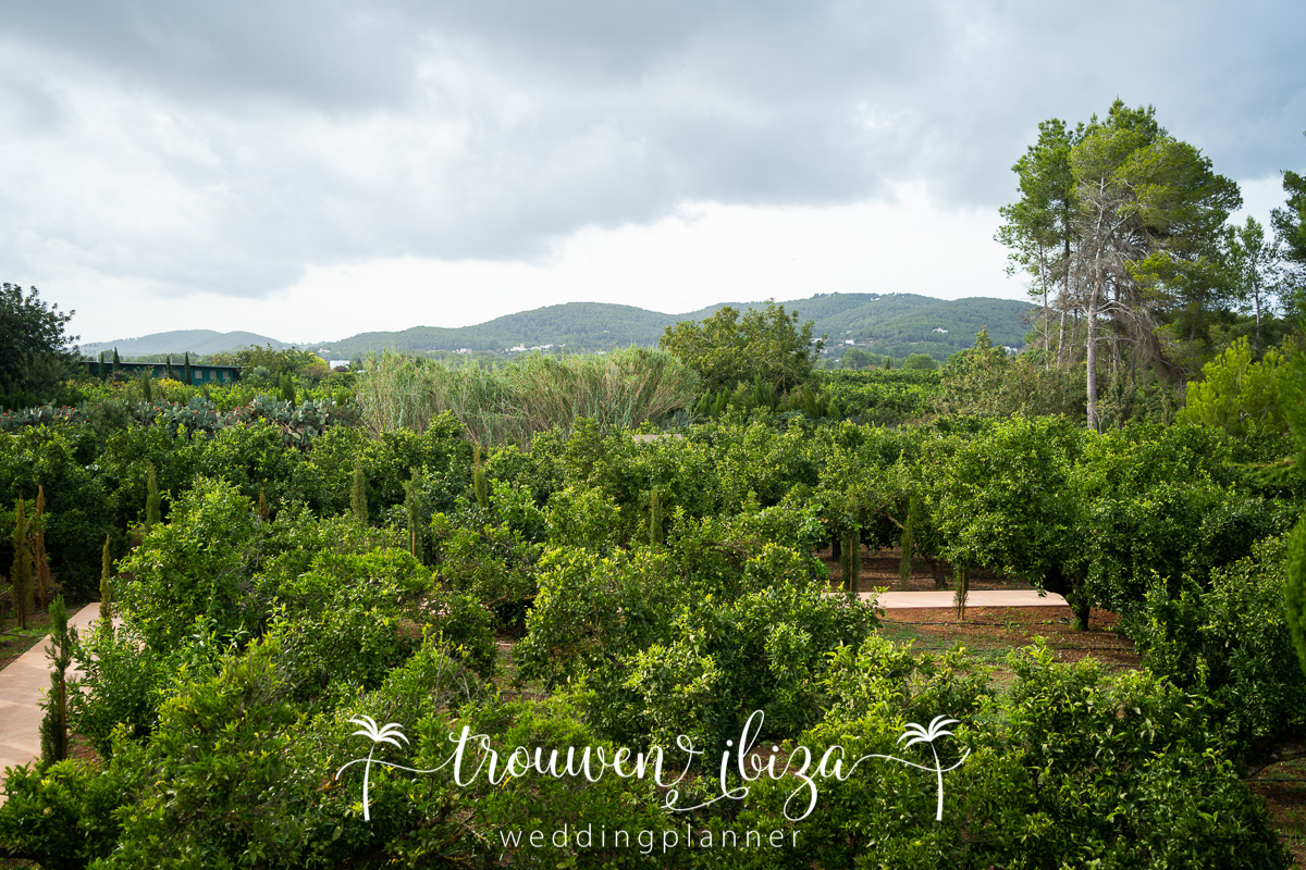 Trouwen Ibiza - Weddingplanner Ibiza